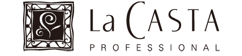 La CASTA PROFESSIONAL